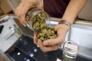 Medical Marijuana Medical Marijuana