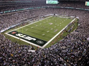 Image result for turf pics at metlife stadium