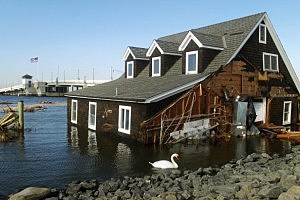 A swan swims near the flooded home in Barnegat Bay A swan swims near the flooded home in Barnegat Bay