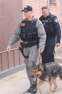 State Police K-9 dog at Trenton hostage standoff State Police K-9 dog at Trenton hostage standoff