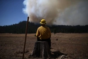 U.S. Fish and Wildlife Service firefighter Corey Adams sits on a tree stump as he monitors the Rim Fire U.S. Fish and Wildlife Service firefighter Corey Adams sits on a tree stump as he monitors the Rim Fire