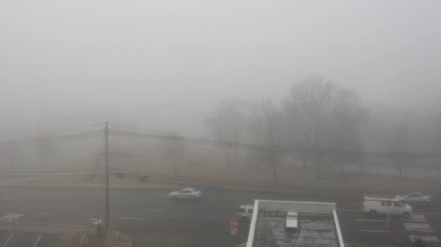 Fog in Huddy Park in Toms River Fog in Huddy Park in Toms River
