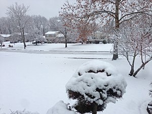 snow in Manalapan snow in Manalapan