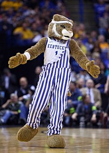 The Kentucky Wildcats mascot The Kentucky Wildcats mascot