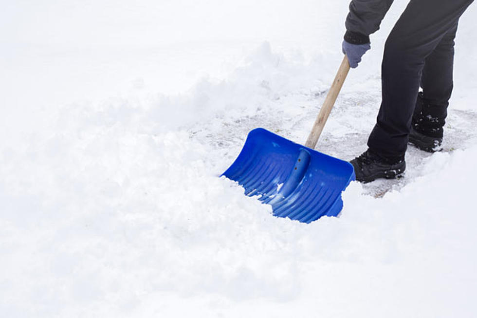 Snow Shovelers Survival Guide
