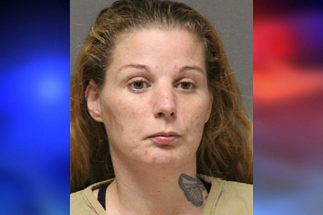 Lacey mom Ocean County NJ admits to child's toddler fentanyl drug death
