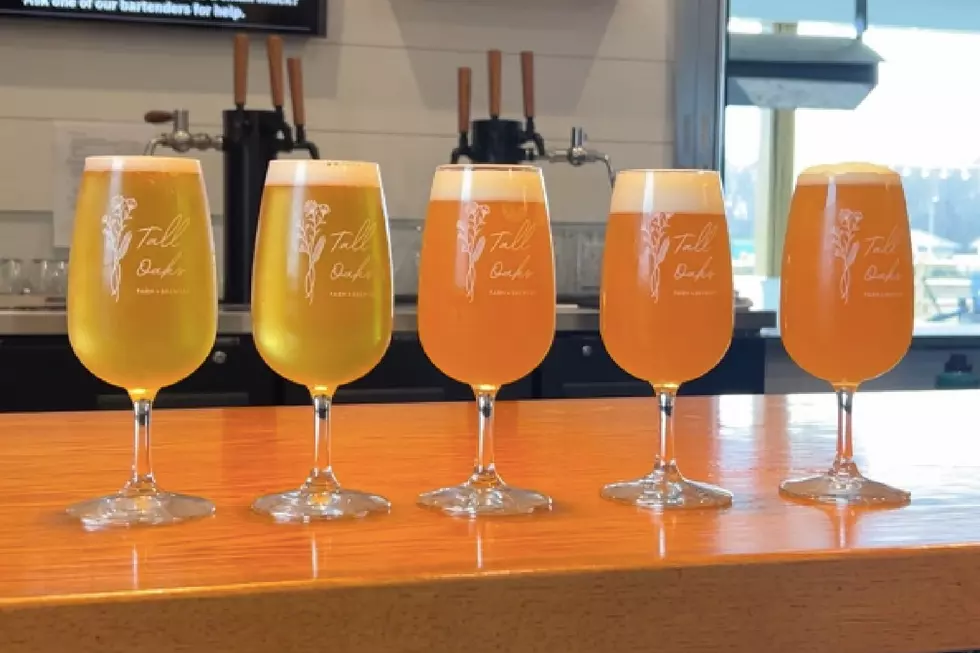 @talloaksbrew via Instagram
