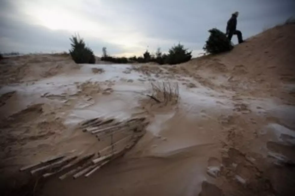 Beach Dunes
