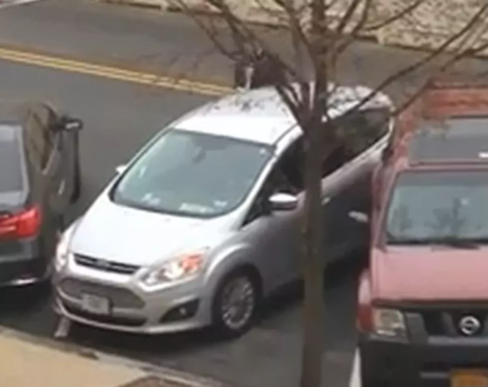 The worst park job ever now belongs to a member of Congress