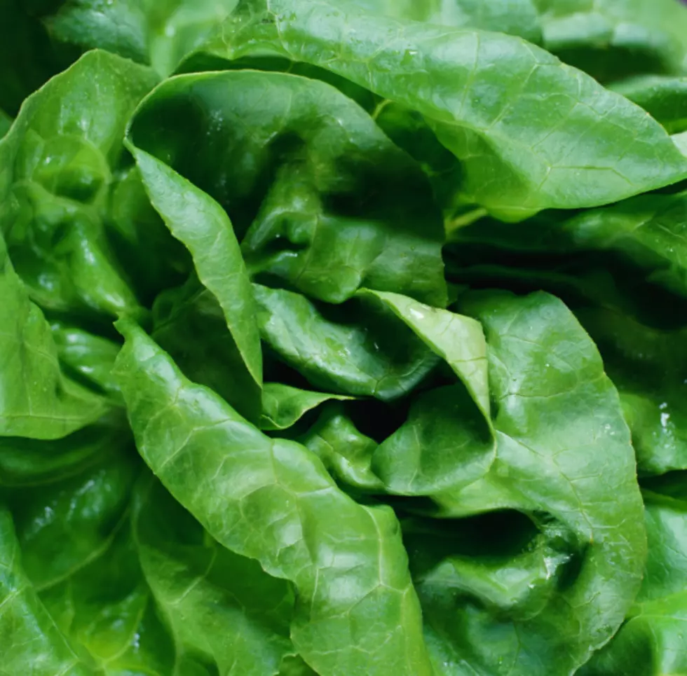 In light of recent recalls in NJ, how safe is our food supply?