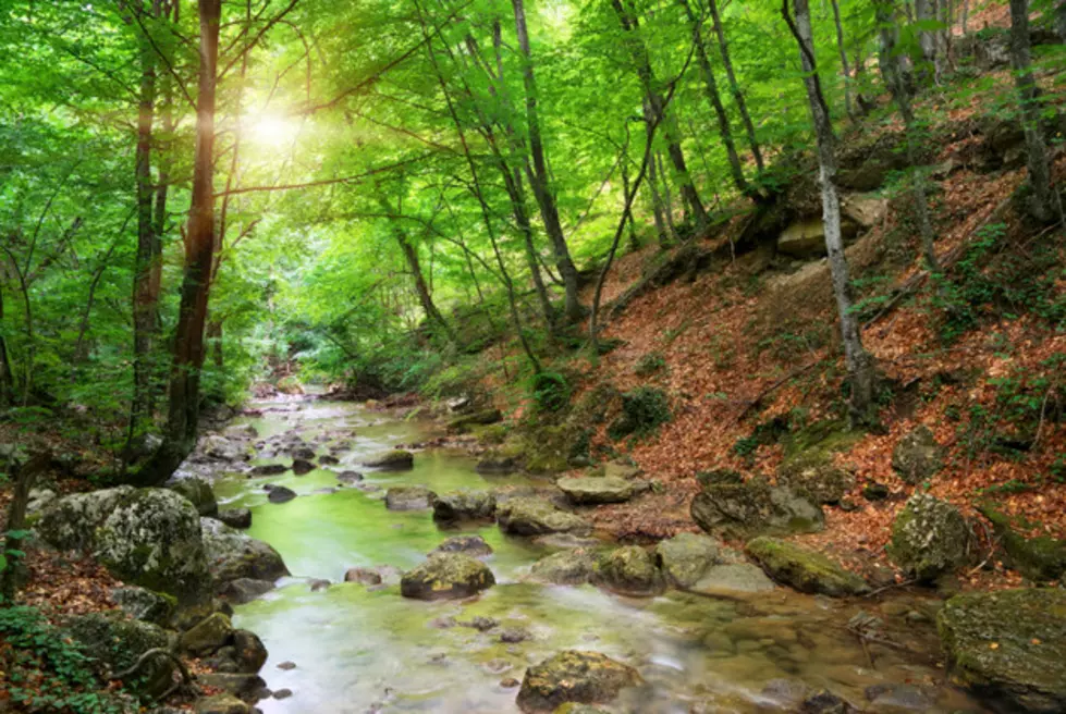 No drought worries this fall in NJ — But just watch out for fires