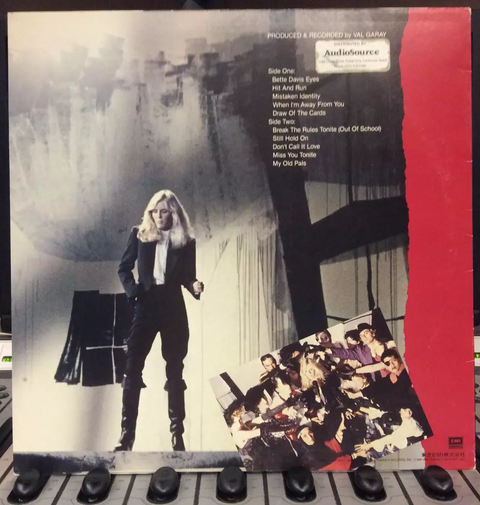 "Mistaken Identity" back cover art (Craig Allen photo).