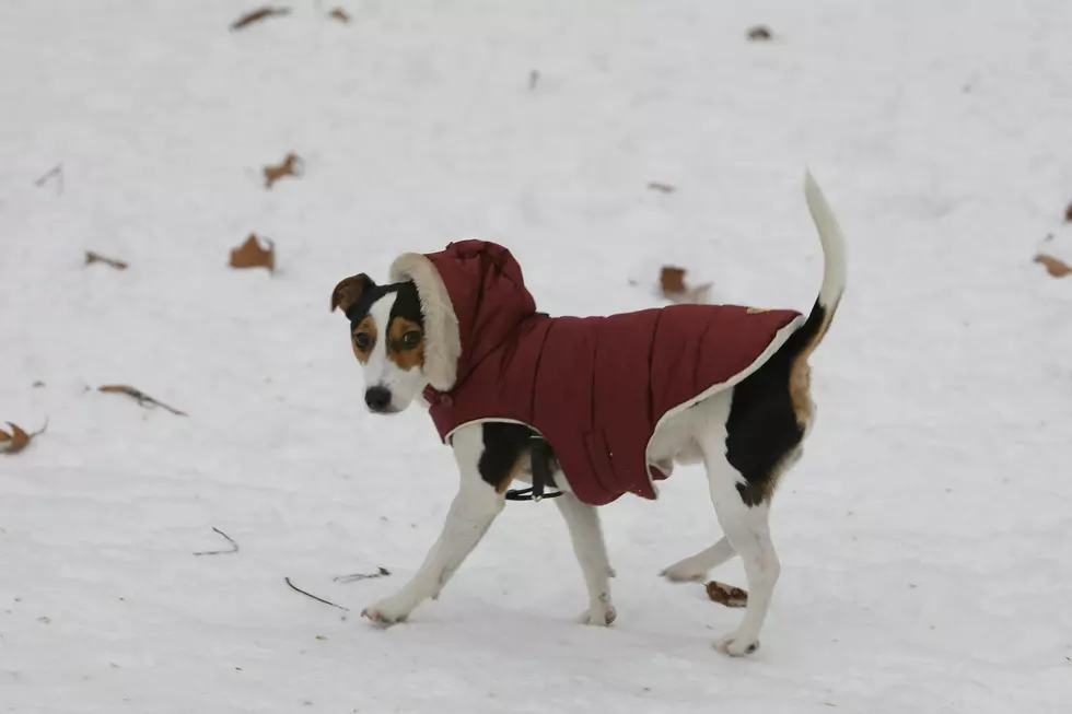NJ weather: Wintry chill, a bit of snow, and then a weekend thaw