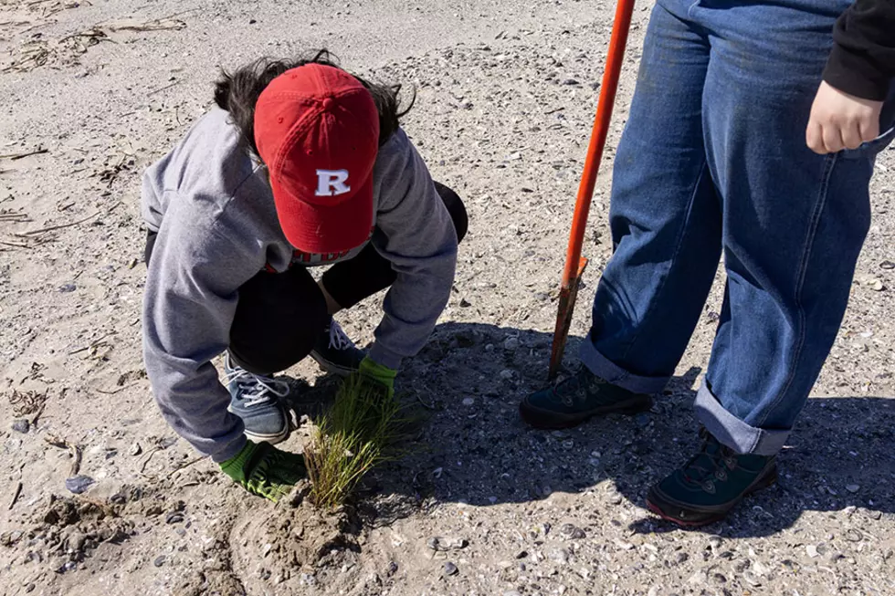 Rutgers students devote Spring Break to Katrina rebound