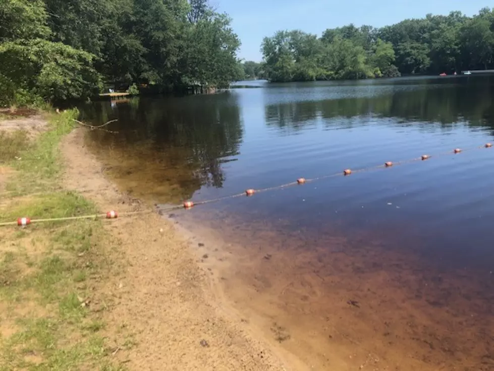 Is the Pine Barrens ‘cedar water’ safe to swim in?