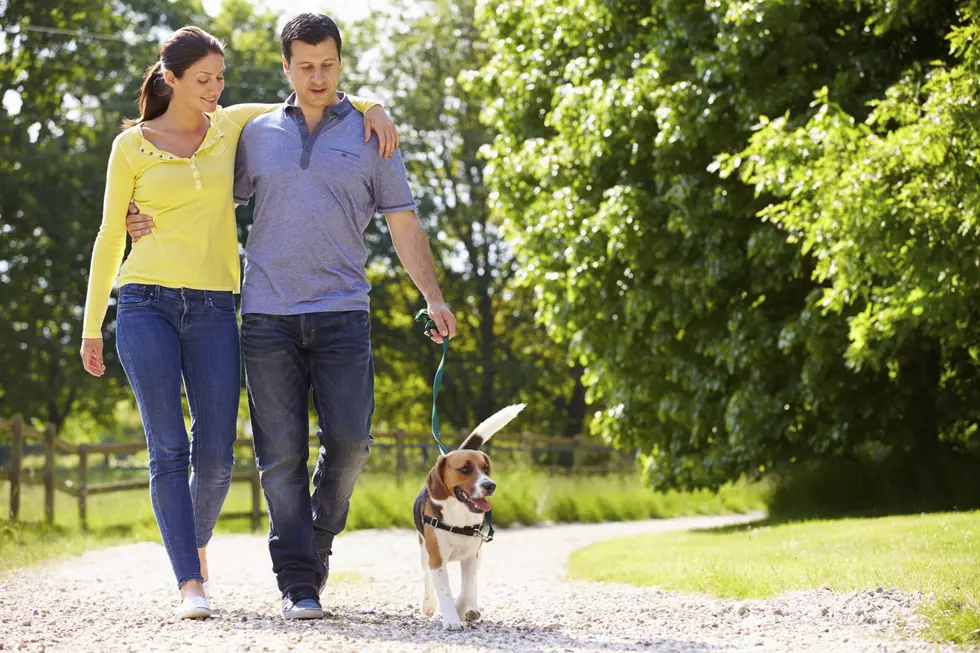 NJ Supreme Court says your dog is public’s business (Opinion)