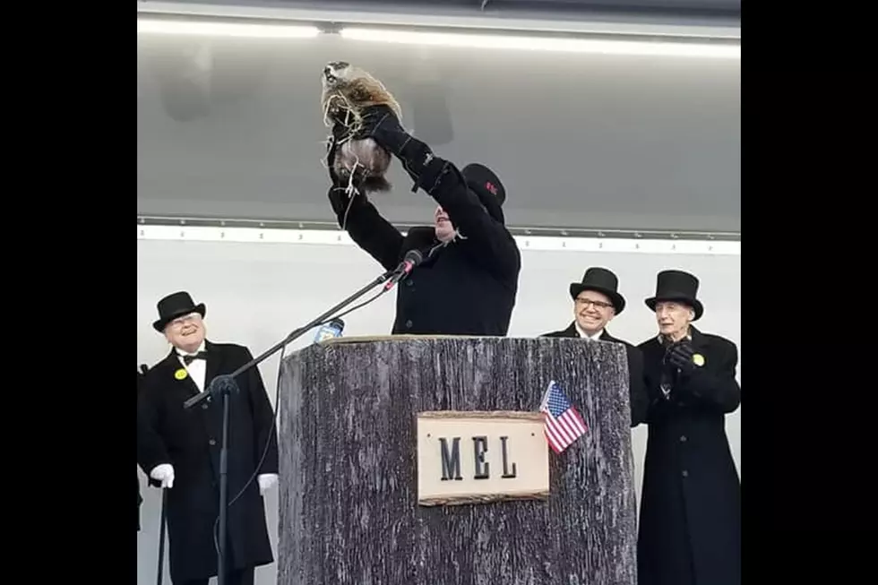 NJ’s groundhog Milltown Mel dies right before Groundhog Day