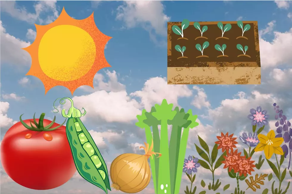 Why early spring is the perfect time to start your garden in New Jersey