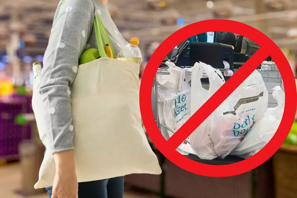Pennsylvania could follow New Jersey in banning plastic bags