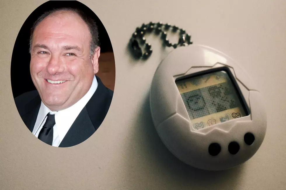 Tamagotchi-type toy based on Tony Soprano is perfect NJ gift