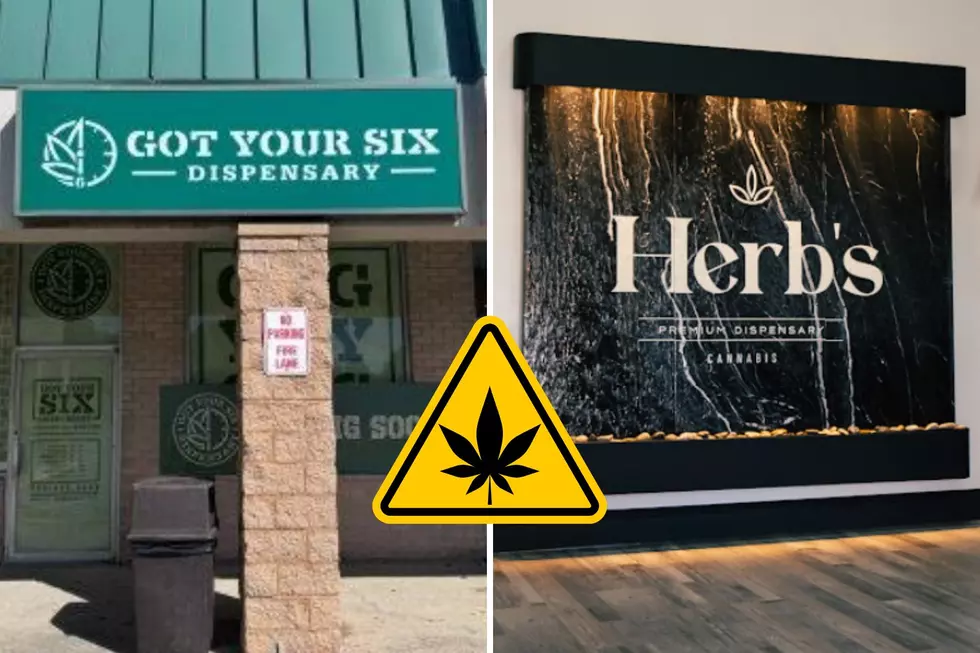 NJ legal cannabis sales pass $1B record for the year