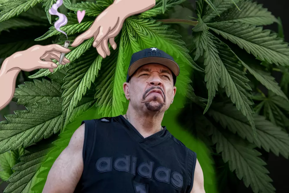 This NJ celebrity is opening a cannabis shop