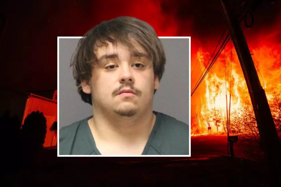 NJ man, 19, arrested on charges of sparking wildfire catastrophe in Ocean County