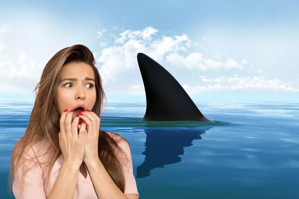 Sink your teeth into NJ event commemorating ‘Jaws’ attacks