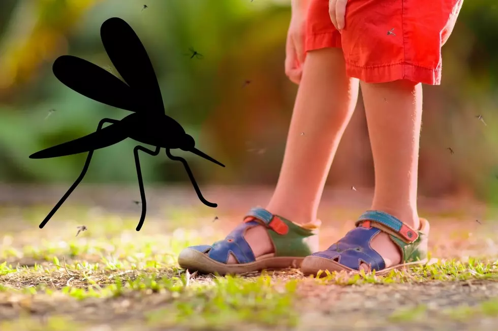 Easy trick that may help deter NJ mosquitoes from coming to you