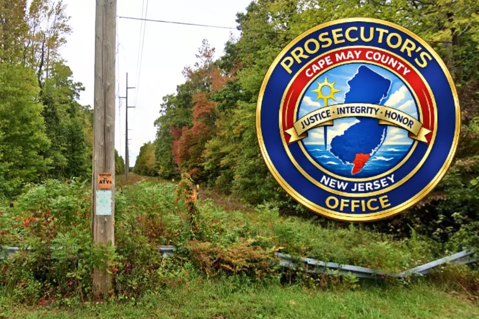 Mystery surrounds possible human skull found in Middle Township, NJ woods