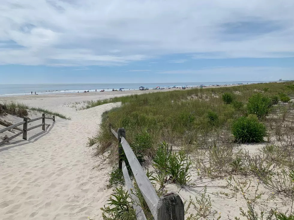 Memorial Day in NJ: The beach, the zoo, the trails and a hoodie