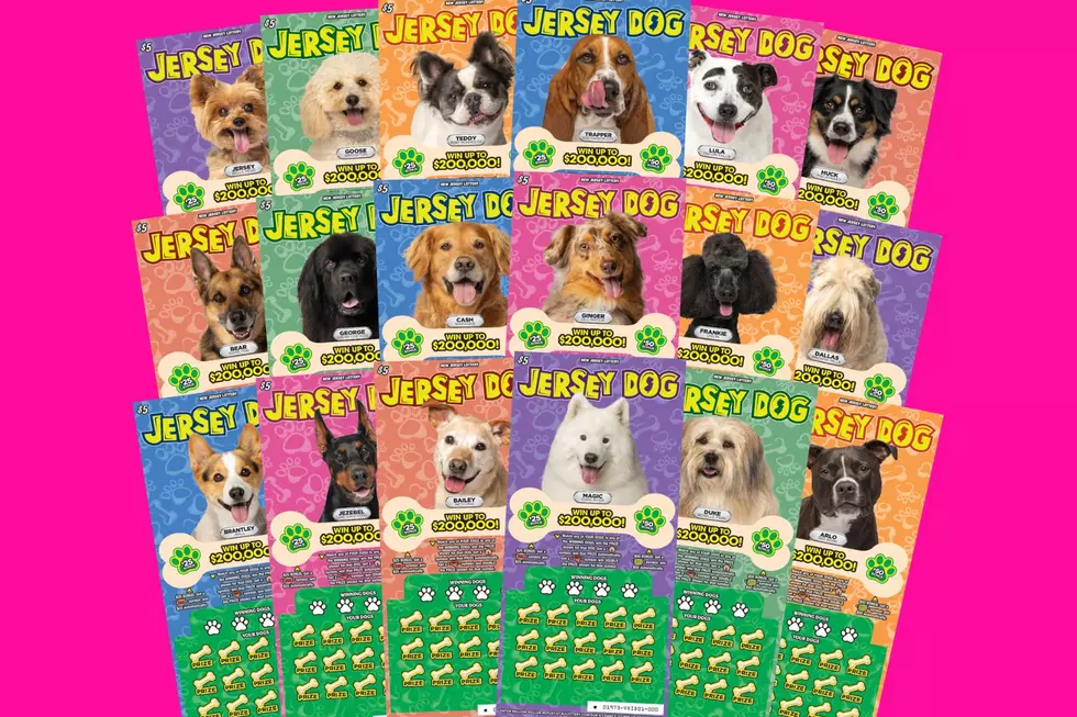 First-ever NJ Lottery scratch-off features real local dogs