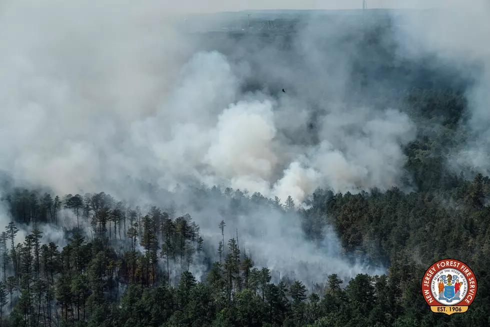 Tropical Storm Fay showed up just in time to put out Pine Barrens fire